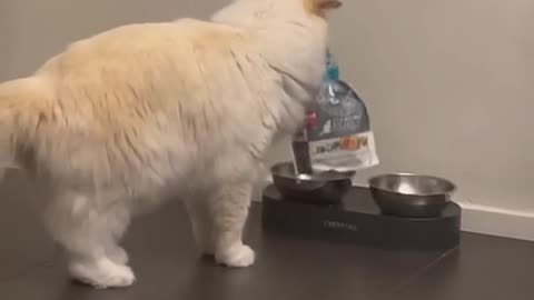 Need I say more!!!! 😂😂🤣😂