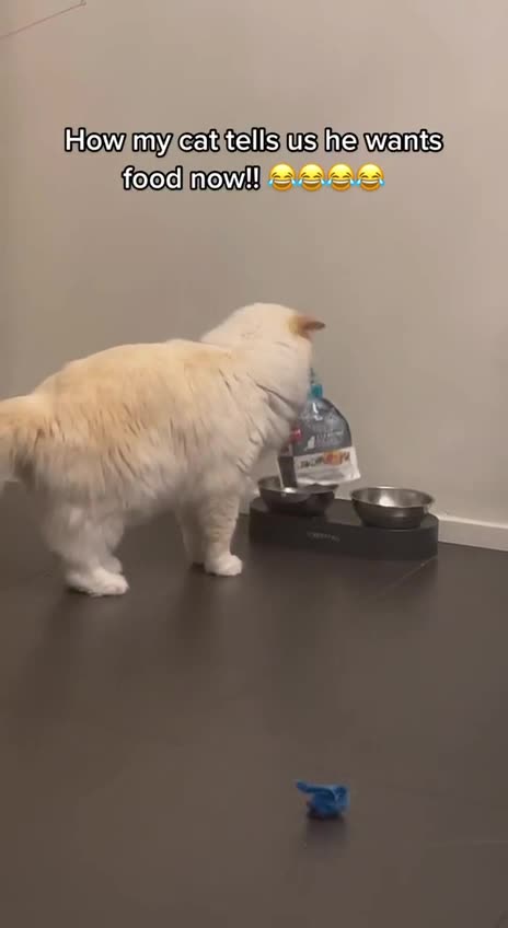 Need I say more!!!! 😂😂🤣😂