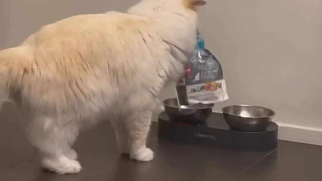 Need I say more!!!! 😂😂🤣😂