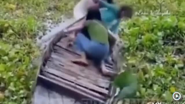 funny-status-video-0064