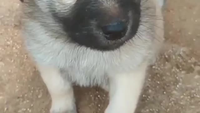 🥰😘🥰