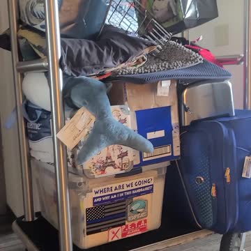 Headed down south for gainszzzz