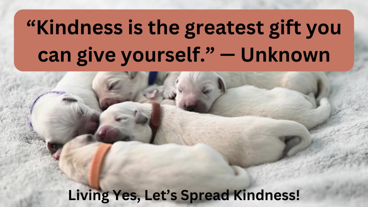 Like puppies, quote on Kindness