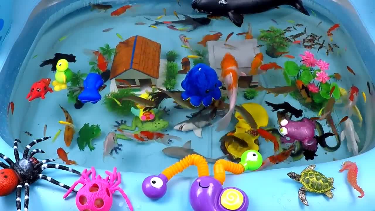 Cute Animals, Giant Whale, Crocodile, Flapping Duck, Black Shark, Turtle, Seahorse, Snake, Goldfish