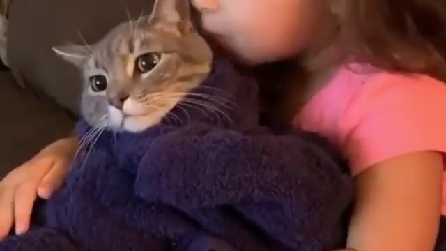 Cat in the bosom of a little girl