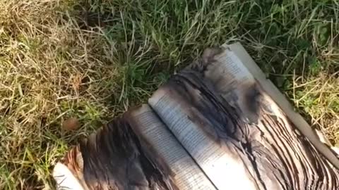 Antifa burning Bibles now