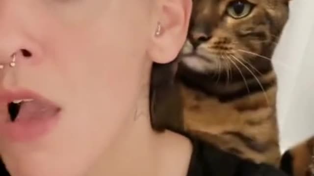 Angry cat slap the girl😂😂