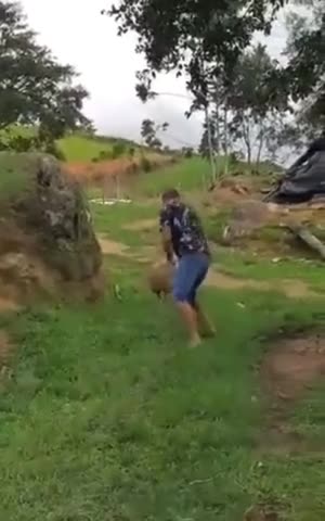 Protecting the family jewels 🤣🤣