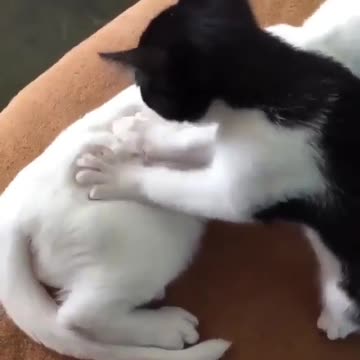 Who wants this massage