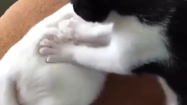Who wants this massage
