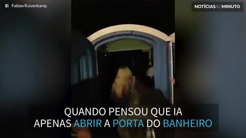 Festival esconde balada secreta dentro de banheiro químico