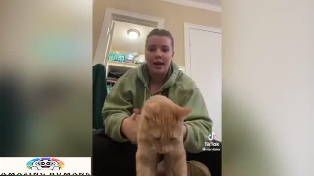 IMPOSSIBLE TRY NOT TO LAUGH CHALLANGE - SUPER FUNNY EDITOIN