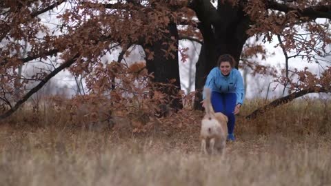 TOP 10 Ways To Tell Your Dog You Love Them!