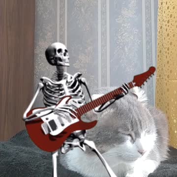 Skeleton guitar 2