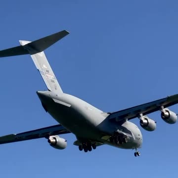 Some moose also came strolling in today PT 2🔥🔥😮