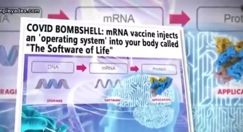 Hacking DNA