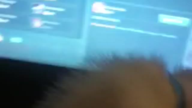 Kitten telling me to play LOL