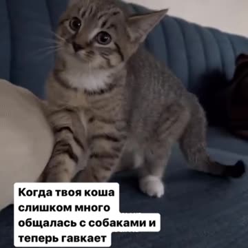 How many times I told you NO pictures!!!! 😂😂