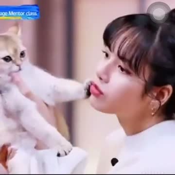 The cat refuses a kiss from his mother