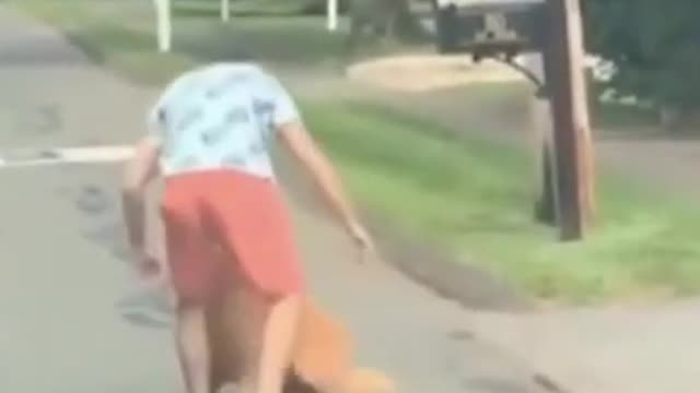 Funny videos,funny videos animals,cute animals videos