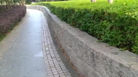 home road