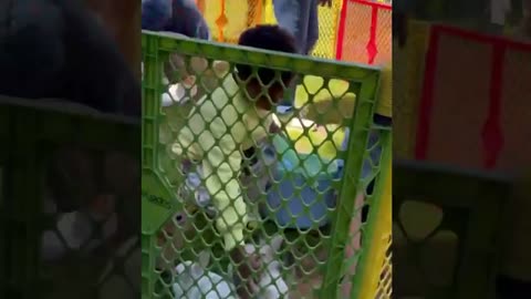 Kevin Hart, Eniko' Celebrates Easter Party With Their Kids at the Beautiful New House!🏠