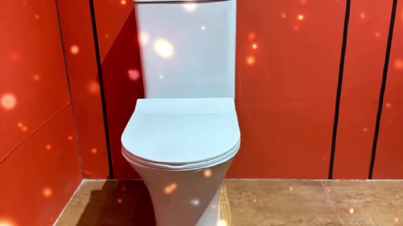 Best Quality and cheap two piece toilet