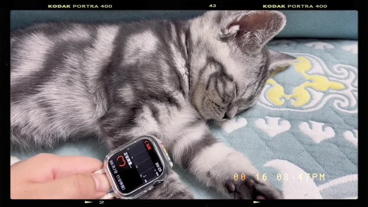 I'll take his heart rate