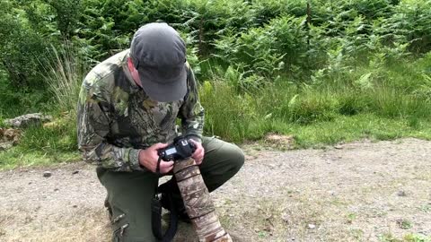 Otter Photography on Mull