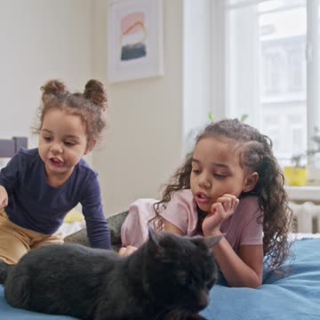 Kids Petting Their Cat On The Bed--FH