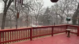 Unexpected snow 1/15/21