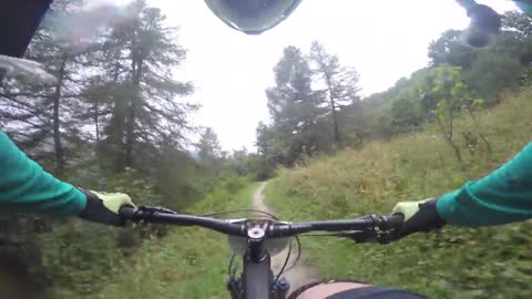 Mountain Bike Enthusiast Meets Proud Tree Head On