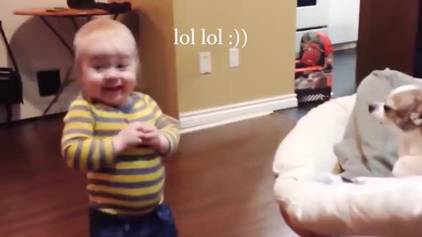 Cute dog and baby best friend