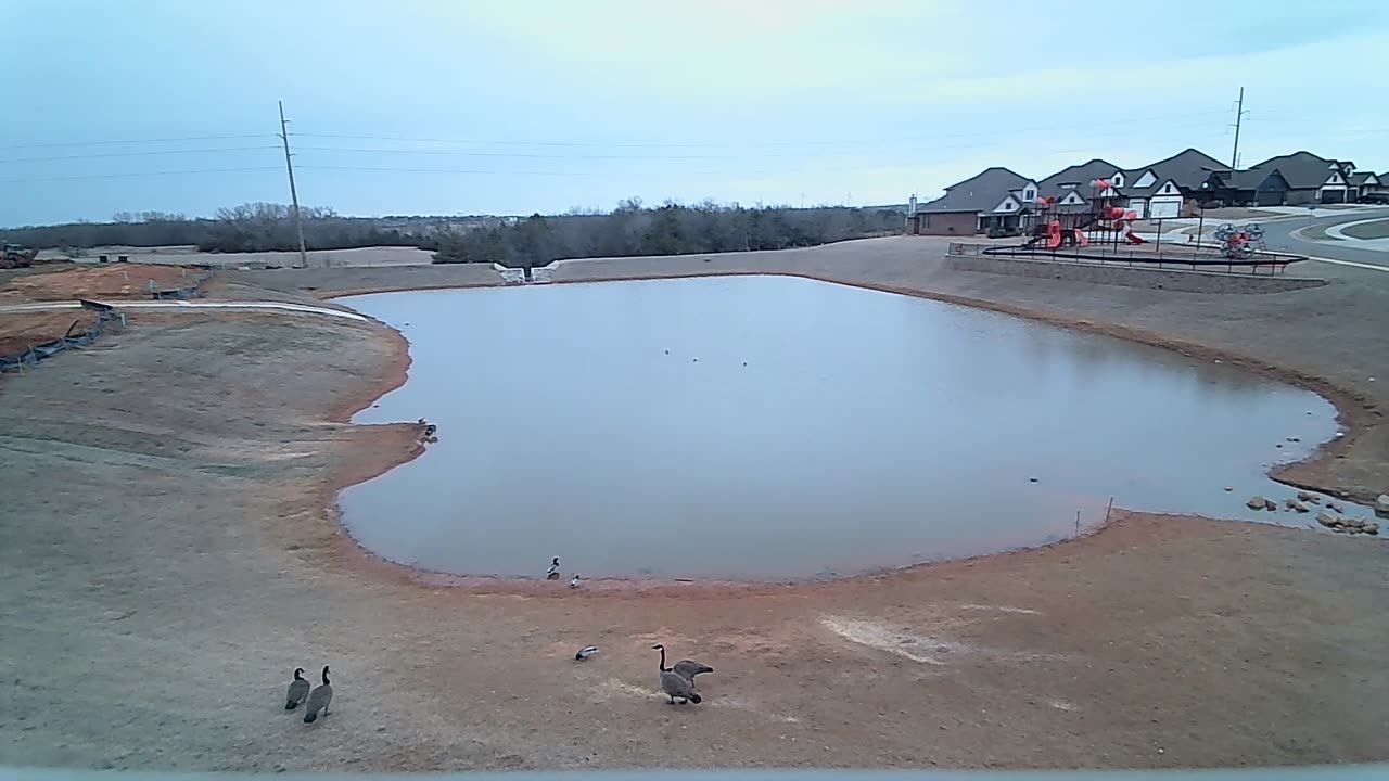 The Pond