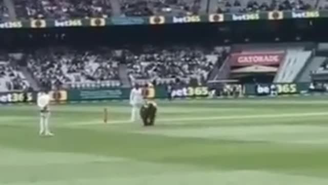 MCG MELB AUS - Man runs on the ground with, we do not comply on his back