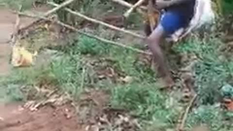 Amazing Creativity