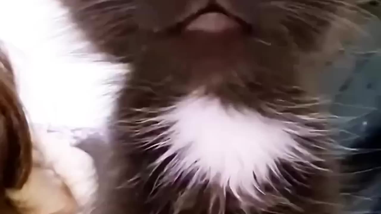 Aaaa #funny