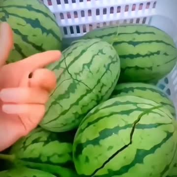 Amazing Watermelons