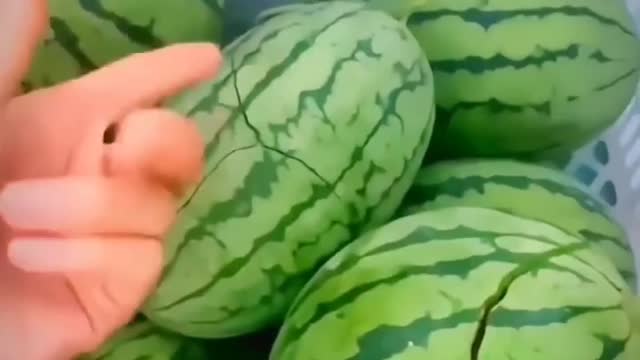 Amazing Watermelons