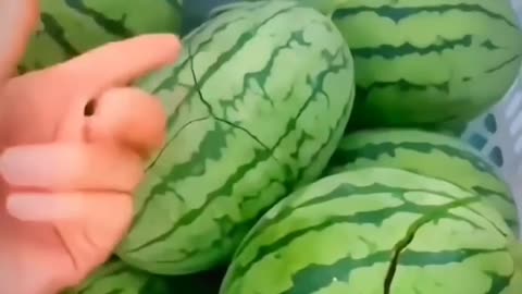 Amazing Watermelons