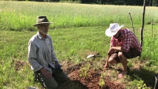 In the Garden with Tom Stapleton