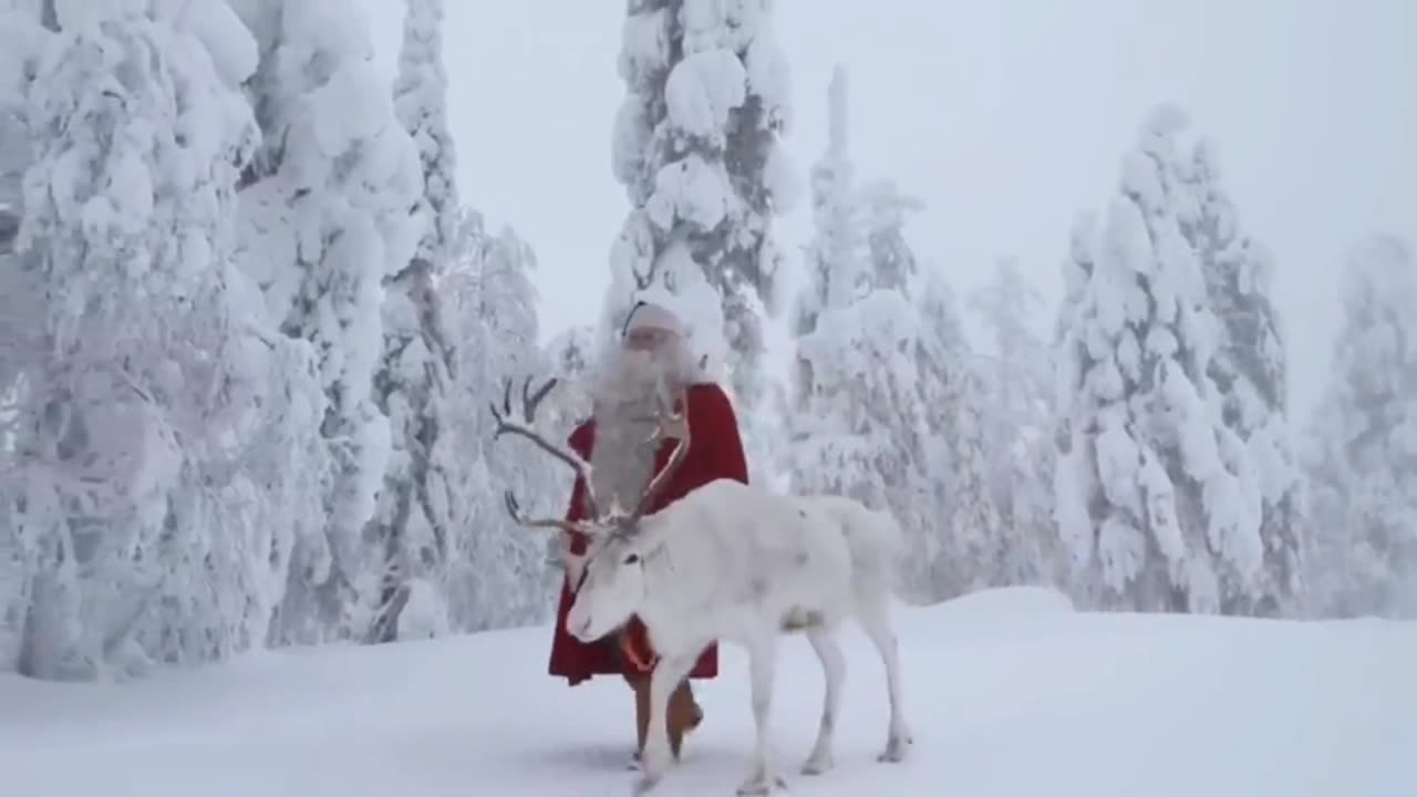 Santa Spotting