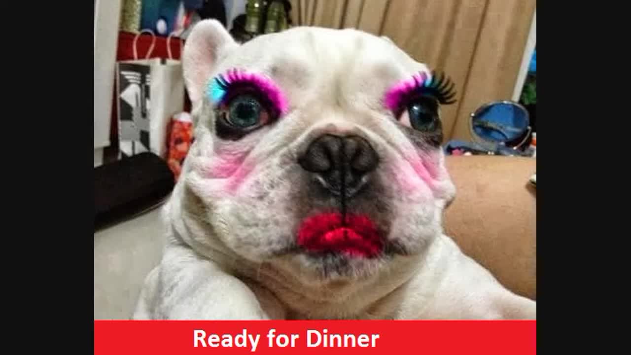Try not to laugh