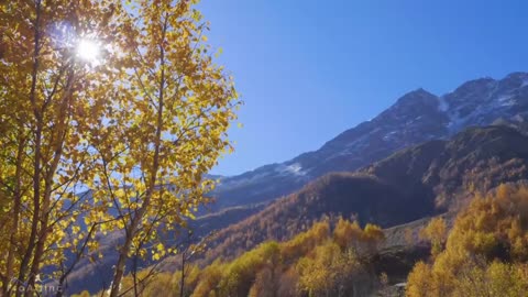 Una figlia prodiga confessa di aver provato le esche del mondo, ma e’ tornata al Padre!