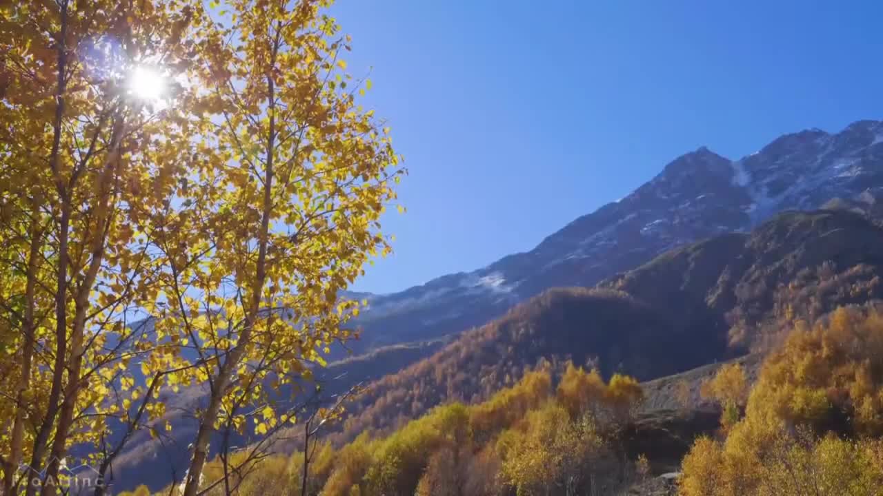 Una figlia prodiga confessa di aver provato le esche del mondo, ma e’ tornata al Padre!