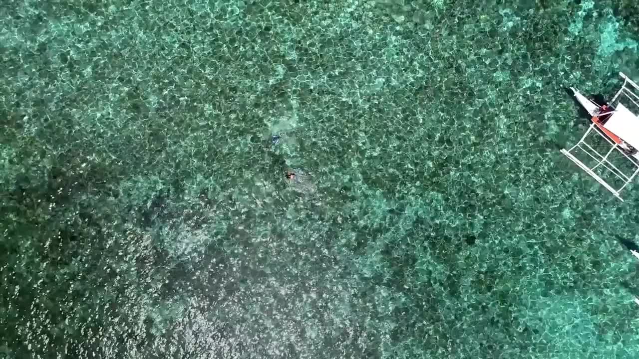 Aerial view of two people snorkeling with turtle in Panagsama Beach, Philippines