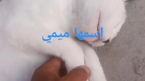 هادي هي ميمي حبيبت قلبي