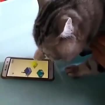 What’s the name of this game?