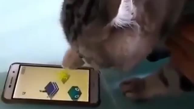 What’s the name of this game?