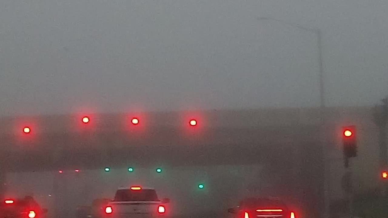 ZOMBIE APOCALYPSE 5/21/24 BRAINZ